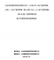 山東祥東新材料科技有限公司1.2萬噸/年6-叔丁基鄰甲(60K)、4-叔丁基鄰甲酚(偏 24 酚)和 4，6-二叔丁基鄰甲酚(偏 246 酚)烷基甲酚項目竣工環(huán)境保護(hù)驗收監(jiān)測報告
